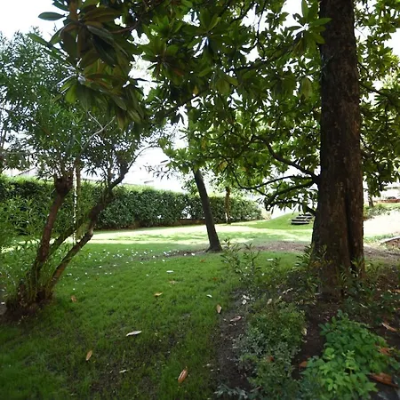 Lake Como Holiday Apartments דירה