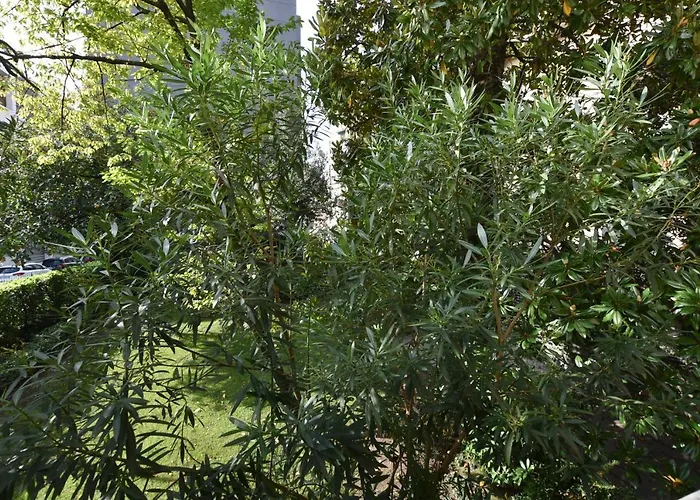 Lake Como Holiday Apartments