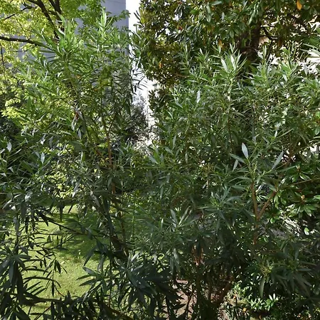 Lake Como Holiday Apartments